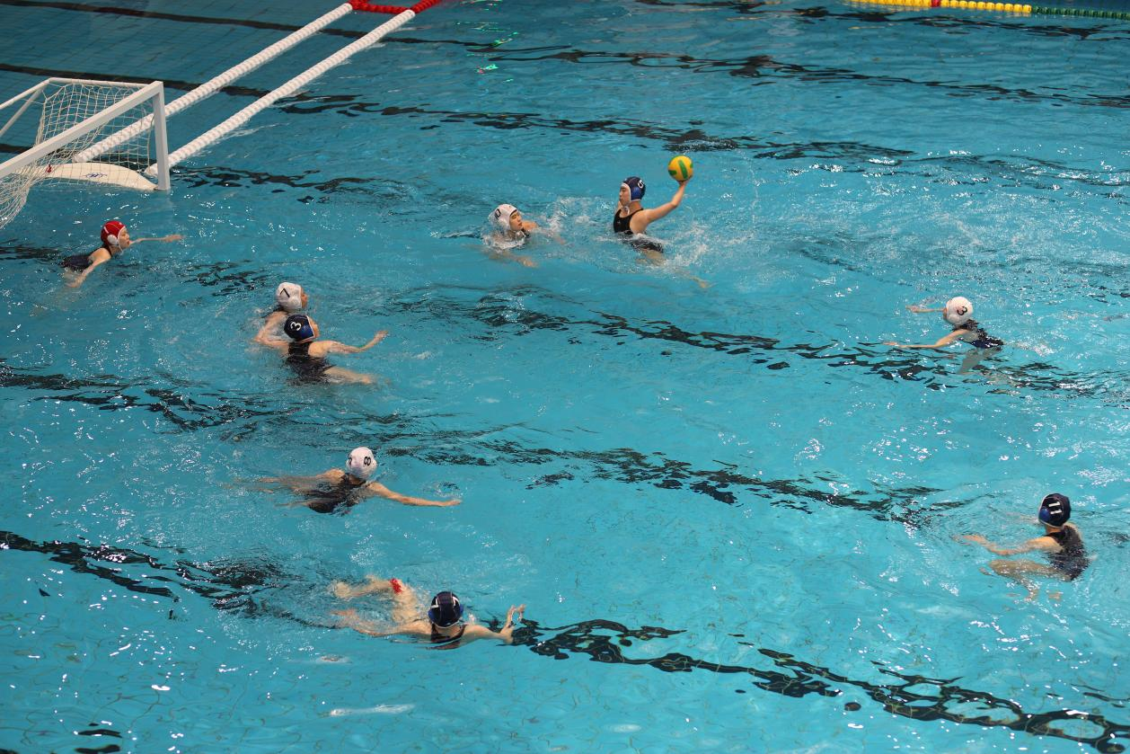 9056c9dbaeca448c9212edf41113dc08.png 9056c9dbaeca448c9212edf41113dc08.png